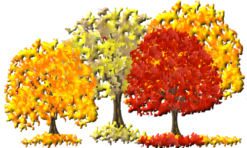 Jesienne drzewa witają październik